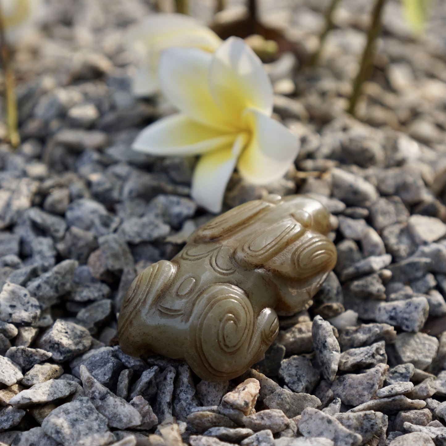 Round Carved Jade Rabbit Paperweight
