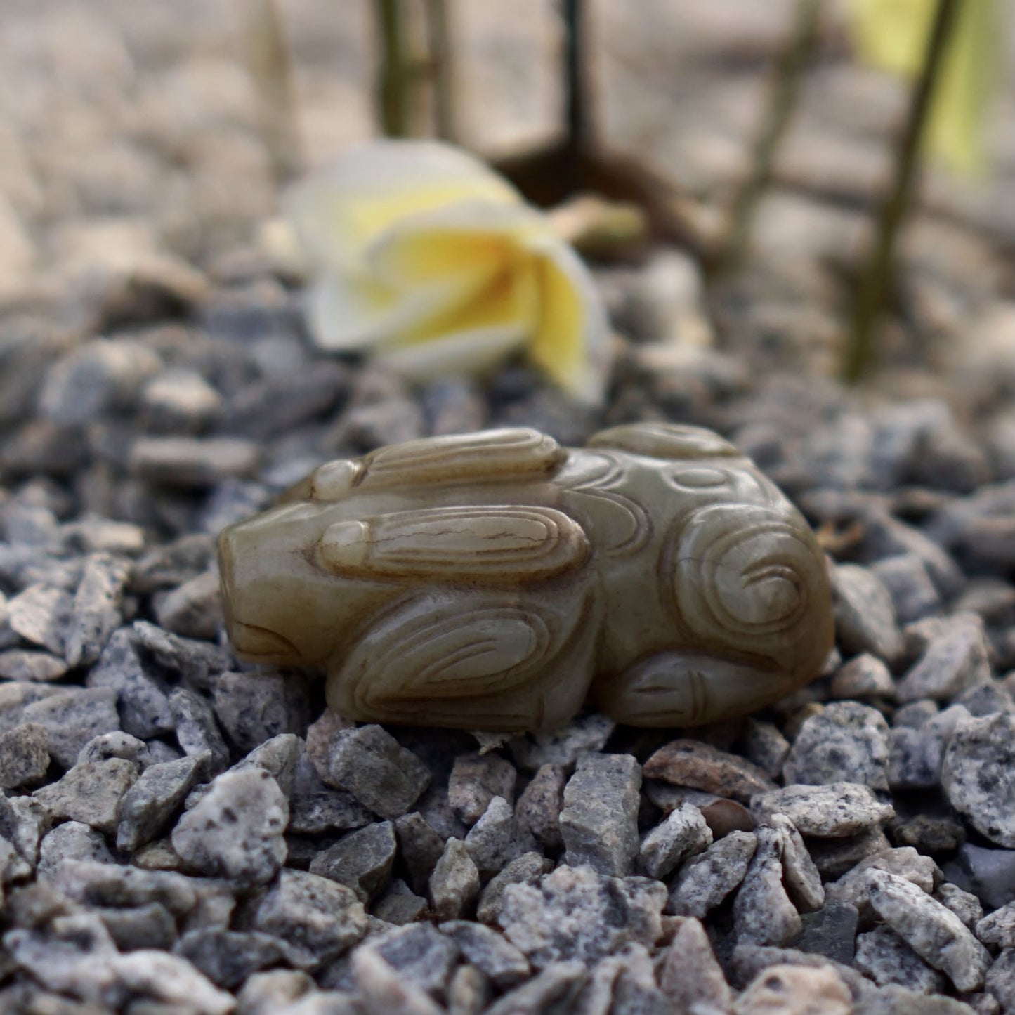 Round Carved Jade Rabbit Paperweight