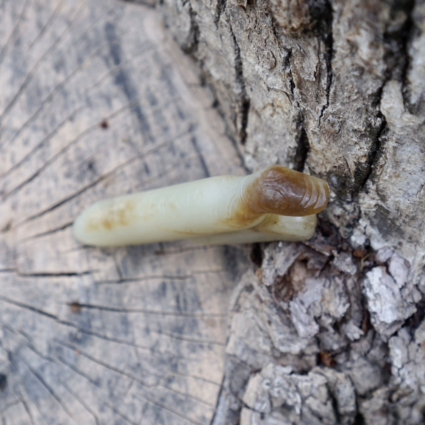 A white jade mantis with an inscription on the back