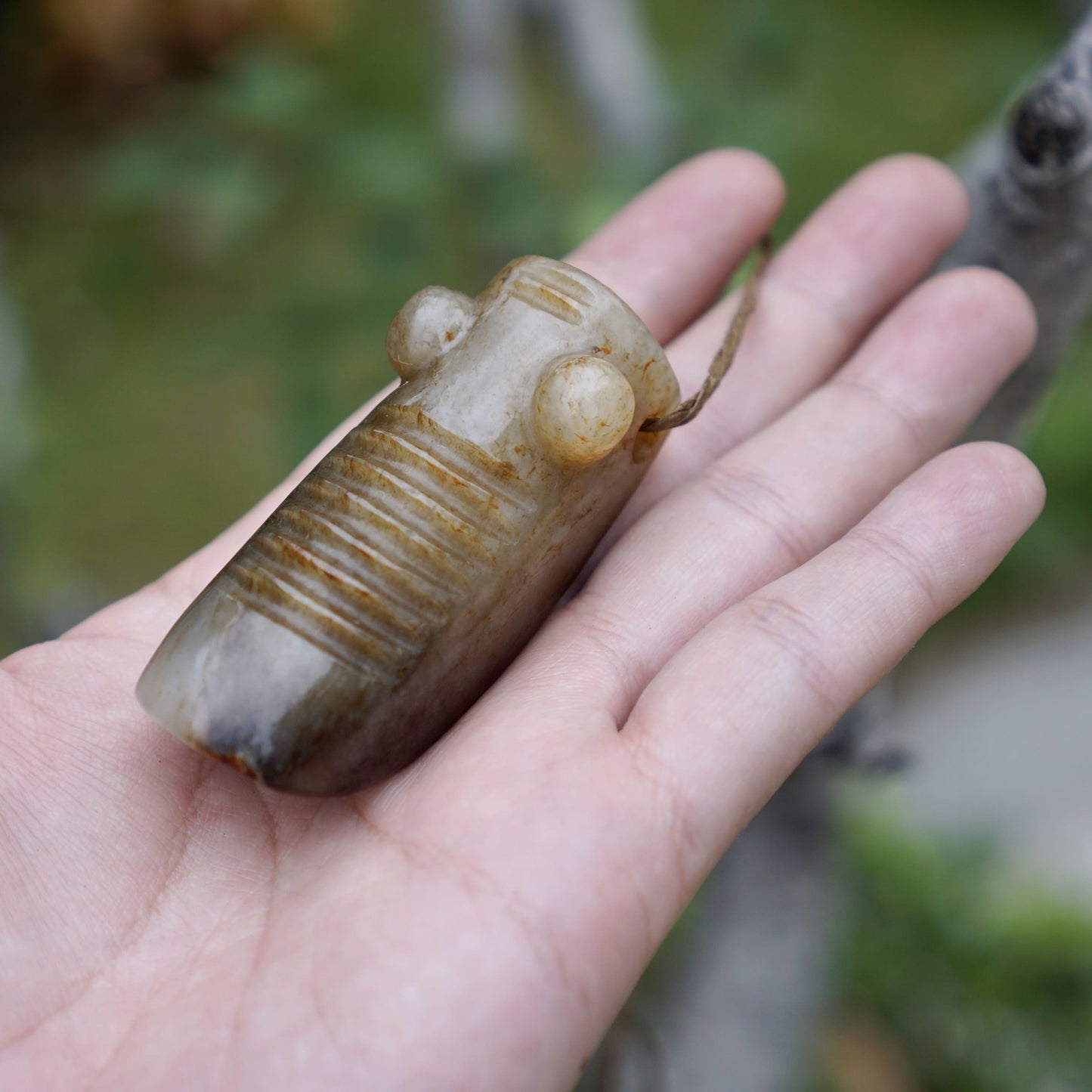 Tubular round sculpture of a jade cicada with convex eyes